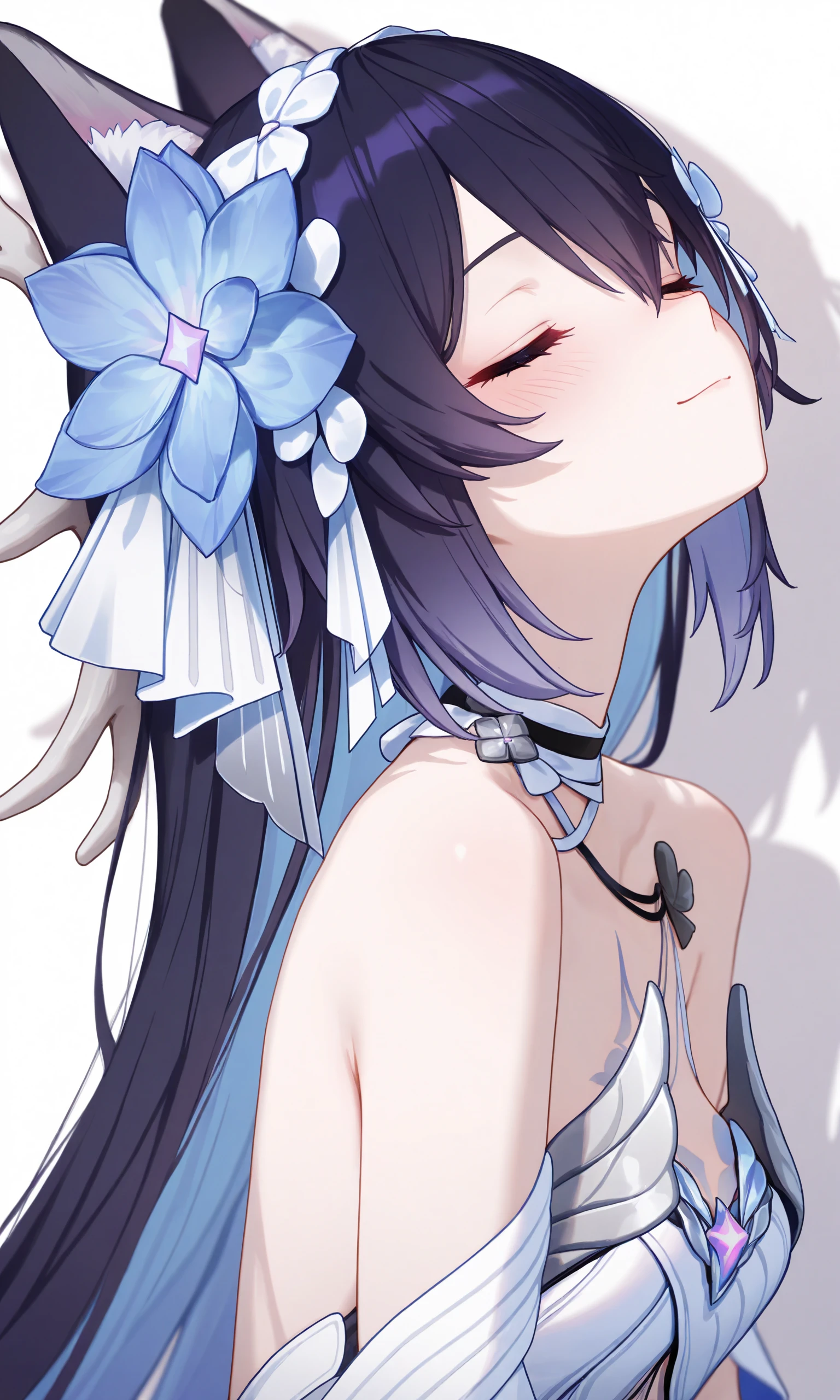 希猫猫